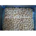 Whole IQF Frozen Natural Garlic